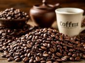 Cómo Importar Café: Guía Completa 2025 Costos, Aduanas Proveedores