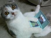 Descubre eres adicto videojuegos