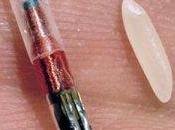 marca bestia: microchip