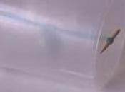 Cómo hacer bote loco