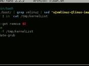 Script para eliminar Kernels anticuados nuestro sistema