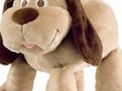 Primer Cachorro