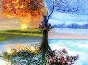 sabiduría edades, potencial descubrir