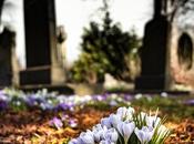 Tipos sepulturas existentes actualidad