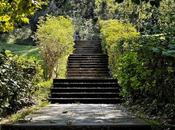 Siguiendo camino Fotografía creativa móvil Barakaldo Ibarakaldo