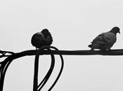 ¿Controladores Aereos Fotografía creativa móvil Barakaldo Ibarakaldo