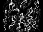 Maldición Poeta Renacuajos 3er. Estanque (Albúm)