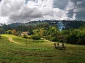 Venerdí Photosatriani N.540