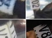 Cuatro cormoranes anilla