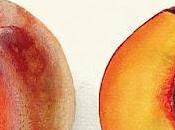 lecturas final verano 2025.