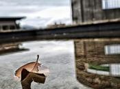 Disfrutar Momento Fotografía creativa móvil Barakaldo Ibarakaldo