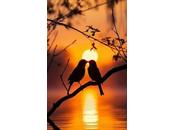 6.331 crecen ramas...