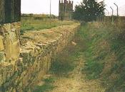 Petavonium: legado romano Zamora