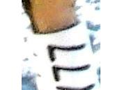 Cormorán Moñudo Menorca Maresme