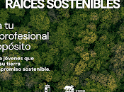 Raíces sostenibles, mentoría para talento juvenil