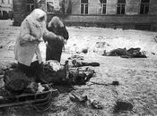 Historia imagen: mujeres recogen restos caballo muerto para comer