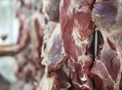 Alba impulsa eficiencia salas despiece