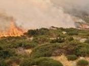Bomberos forestales Montes Claros Vado, indignados contar ellos para sofocar fuego Peñalba