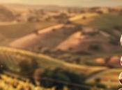 Bodegas Obergo finaliza vendimia 2025: últimas uvas serán Cabernet Sauvignon Garnacha