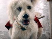 Max: «Kripto salva día» nueva serie cortos sobre superperro