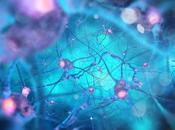 ¿Qué magnesio elegir? Levels combina múltiples sales fórmula completa