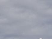 Arbol Metal Tree Fotografía creativa móvil Barakaldo Ibarakaldo