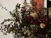 Boda otoño; errores deben evitar según expertos