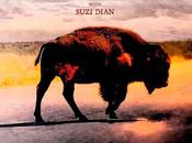 Robert Plant It's beautiful today (2025)