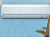 Alergias: estos datos expertos para combatir disminuir esta enfermedad estacionaria