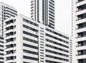 Bloques cebra casa verano