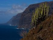 Acantilados Gigantes Espacio Natural Situado Tenerife