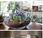 Decorar cactus jarrones