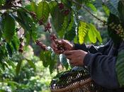 Marketing Intelligence minimiza volatilidad mercados para empresas