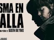 fantasma batalla" Agustín Díaz Yanes, mejores películas sobre cine español