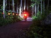 BICYCLE, trasera para bicicletas solo dispositivo