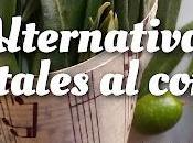 Alternativas Vegetales Confeti