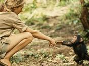 Jane Goodall: primatóloga cambió forma entendemos chimpancés naturaleza