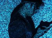 diferentes modos mundo actual