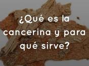 ¿Qué cancerina para sirve?