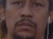 Lobo!, ¡Viene lobo!