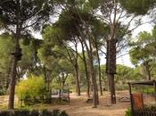 Sierra Oeste Madrid adjudica instalación sistema detección incendios inteligente