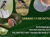 Salida seña (limpias)