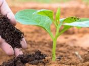 gran oportunidad campo español; regenerar suelos antes tarde