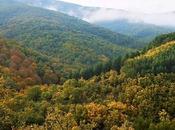 Como hacer viaje ayude realmente conservación Naturaleza; clara llamada acción desde Tourism4Nature
