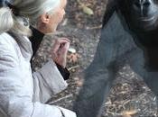 Adiós Jane Goodall