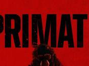 Primate