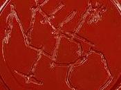 Nido estrena videoclip canción corazón junto Rozalén