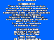 Consultor Técnico Gestión Calidad