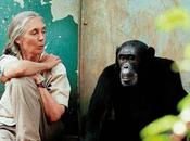 Jane goodall, obituario