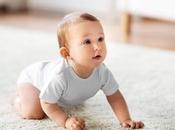 Almacenes Toledo consolida presencia destacada distribución moda infantil mayor